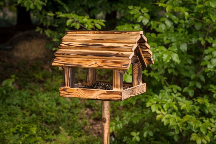 Karmnik Dla Ptaków Na Ziarno Duży Stojący Opalany Solidny + Słonecznik