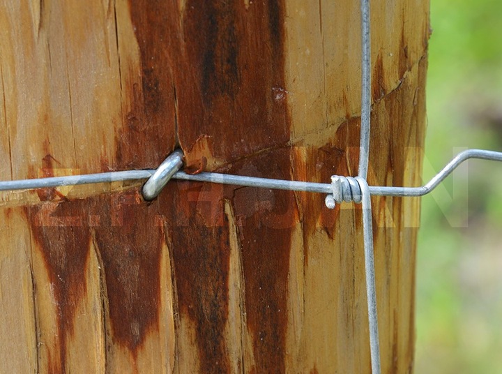 SIATKA LEŚNA OGRODZENIOWA 120/9/30 L 50m + GRATIS