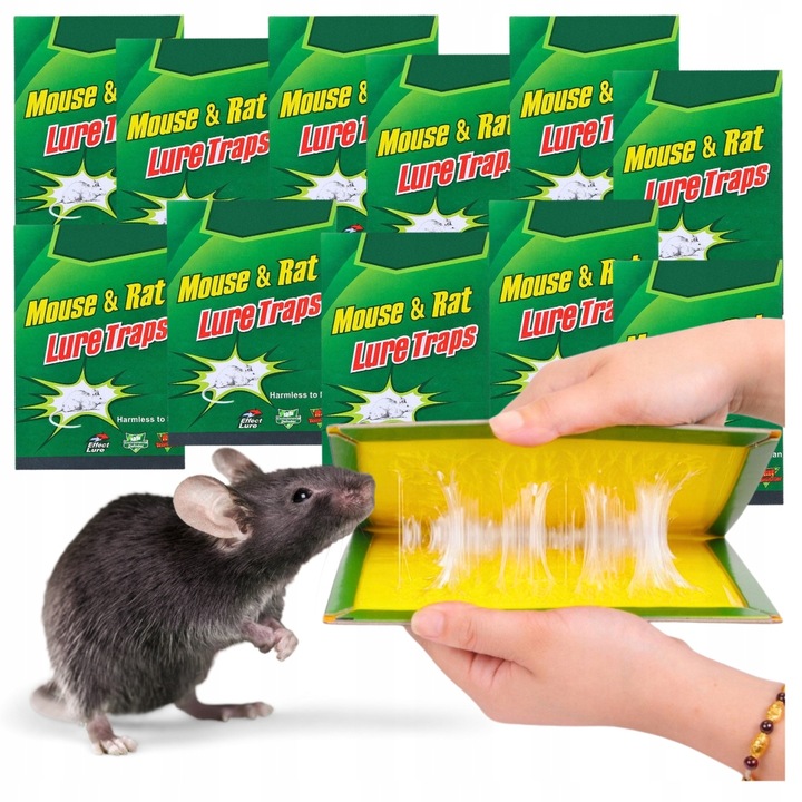 50x LEP na myszy SZCZURY silna pułapka MOCNY KLEJ Aromat MYSZOŁAPKA