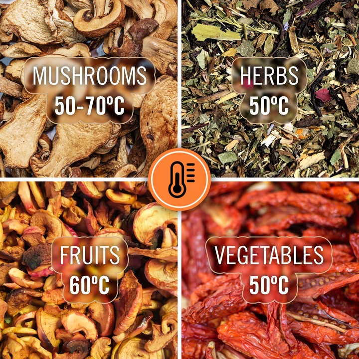 Suszarka spożywcza do grzybów warzyw owoców ziół 250W Teesa