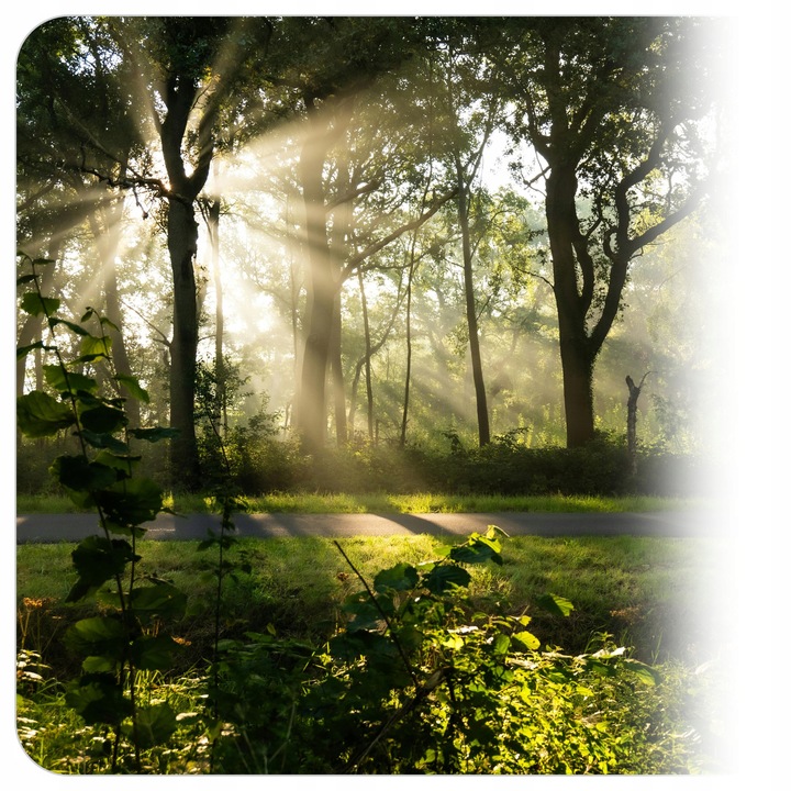 Zestaw 6x Żarówka LED E27 8W=60W 806lm 160° Nie Mruga Premium Ciepła