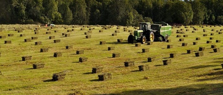 SIANO DUŻA KOSTKA ZIELONE PACHNĄCE - EKO DO 14 KG