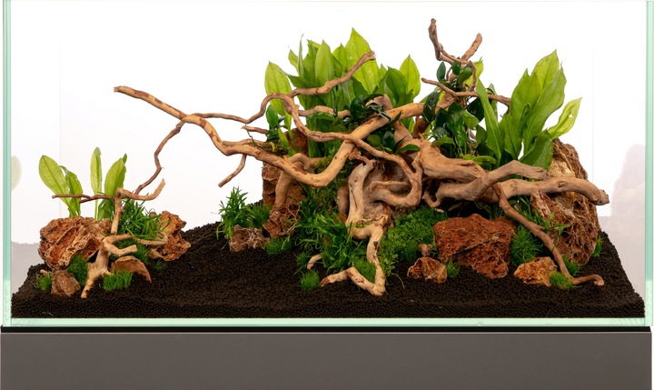 Korzeń do Akwarium Red Moor Zestaw 3-5szt