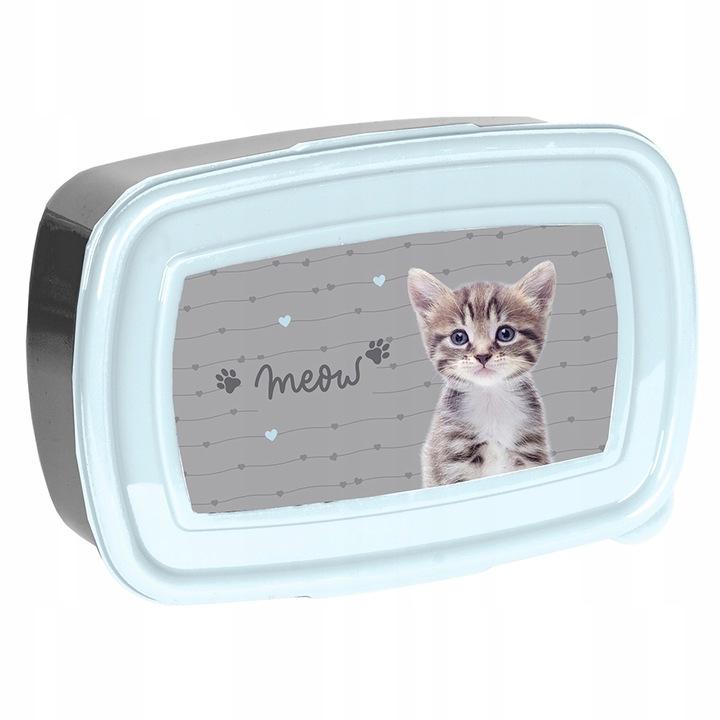 ZESTAW SZKONY PASO KOTEK TORNISTER PIÓRNIK WOREK TORBA BIDON ŚNIADANIÓWKA