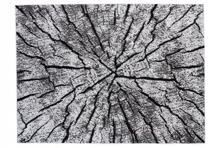 DYWAN CANVAS 160x220 BCF MODNY PIEŃ DRZEWA x39