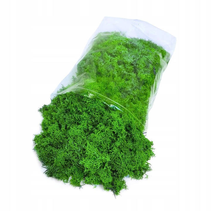 Mech CHROBOTEK RENIFEROWY fiński 500g ŚCIÓŁKA jasno zielony