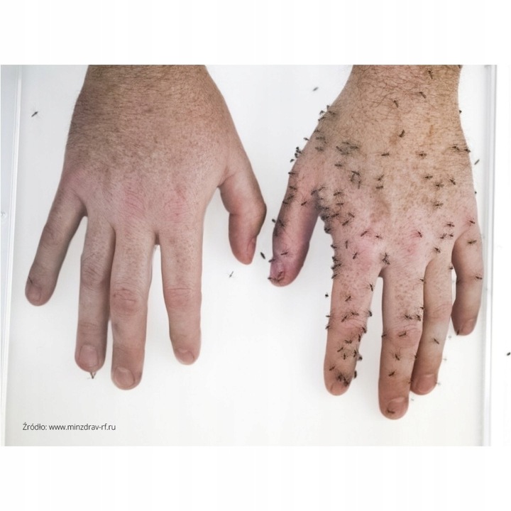 Mugga Strong spray 50% DEET 75 ml odstraszacz na komary i kleszcze ORYGINAŁ