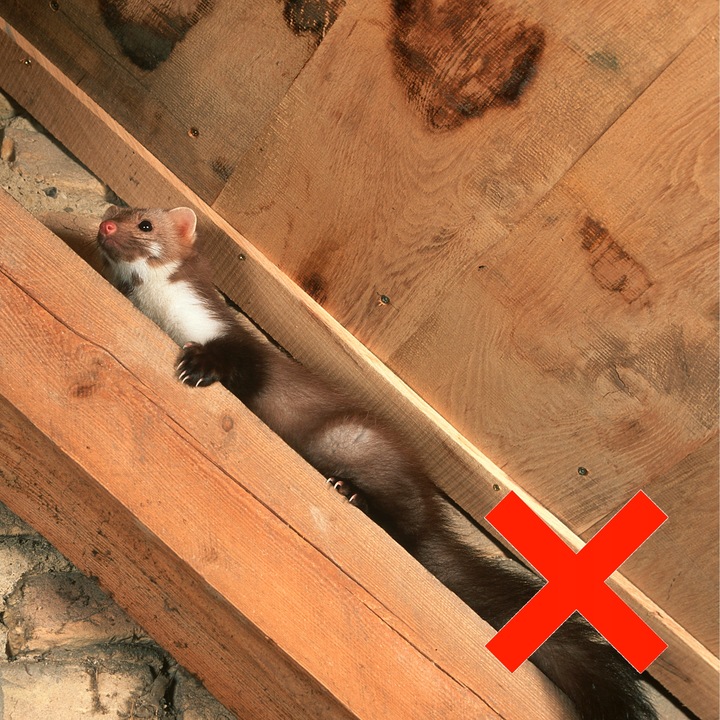 QUATTRO-LED ODSTRASZACZ GRYZONI KUN SZCZURÓW MYSZY VIANO NA KUNY MYSZY