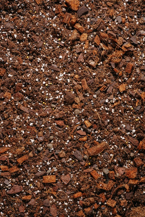 Ziemia do MONSTER, FILODENDRONA, ALOKAZJI, ANTHURIUM EPI 5L bigos,