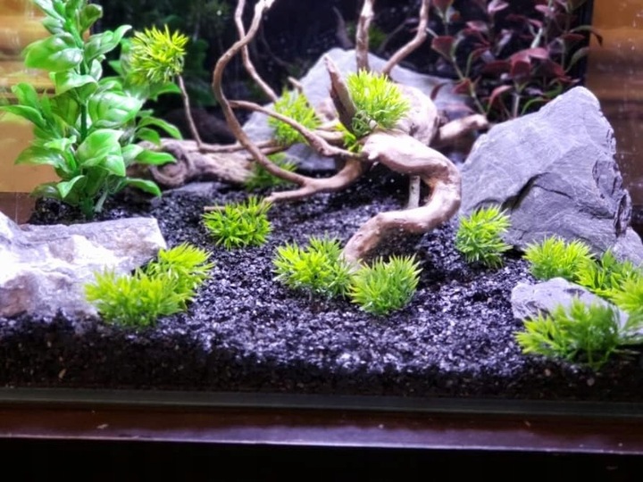 Aranżacja do Akwarium Łupek Drzewiasty Czarny 5kg