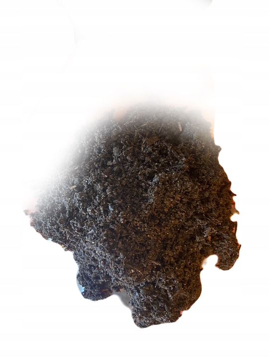 ZIEMIA UNIWERSALNA Do KWIATÓW warzyw OGRODOWA 65L Z NAWOZEM wysiew