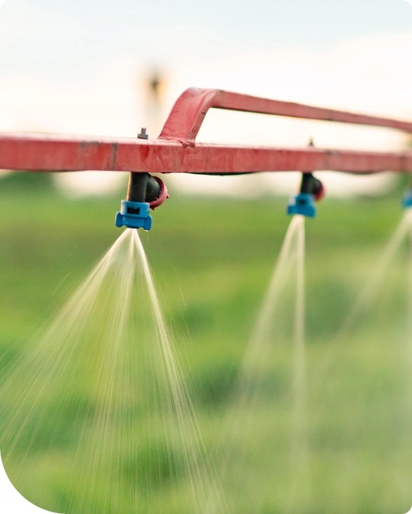 ŚRODEK CHWASTOBÓJCZY 1L NA WSZYSTKIE CHWASTY SINGLIF 360 SL GLIFOSAT