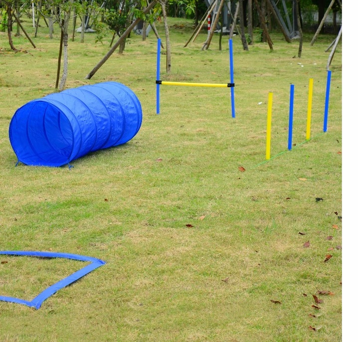 PawHut ZESTAW AGILITY DLA PSA/SLALOM TUNEL PŁOTKI