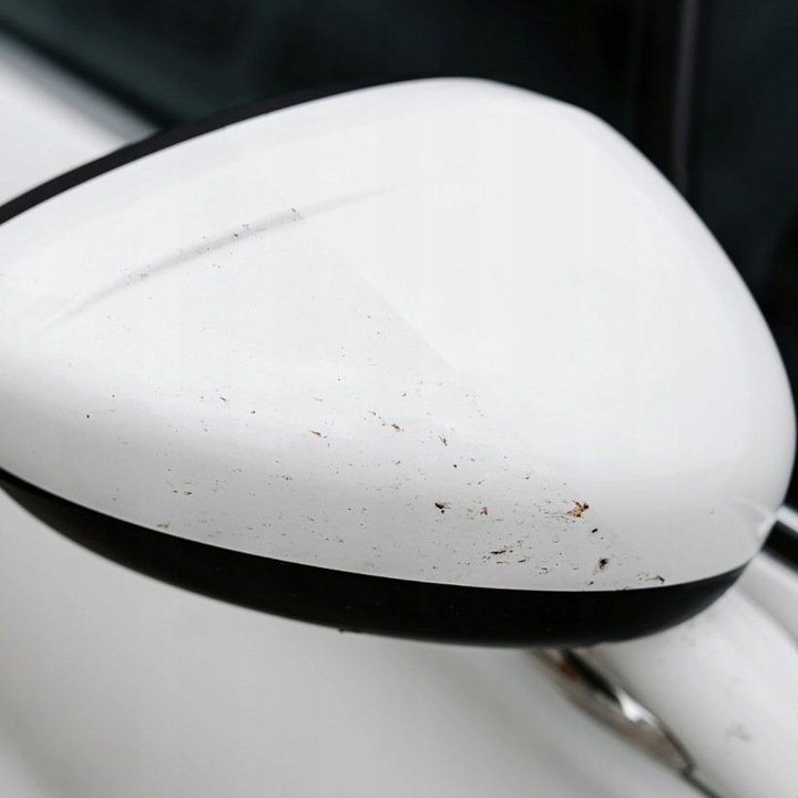 ADBL Beetle Juice Squeezer Płyn na owady 1L