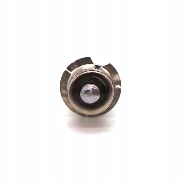 P13 LED żarówka LED PX13.5, P13.5s 6V do latarek