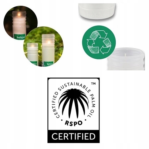 Wkłady Olejowe do Zniczy całoroczne Bolsius RC4 75h - zgrzewka 20