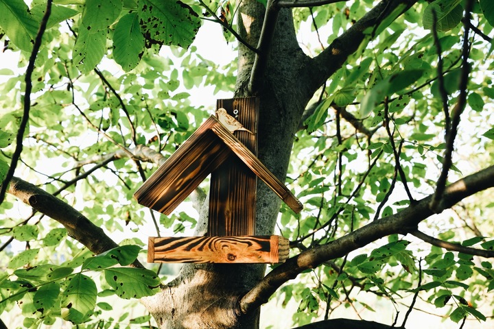 DREWNIANY karmnik dla PTAKÓW budka góralski POLSKI HIT DOMEK