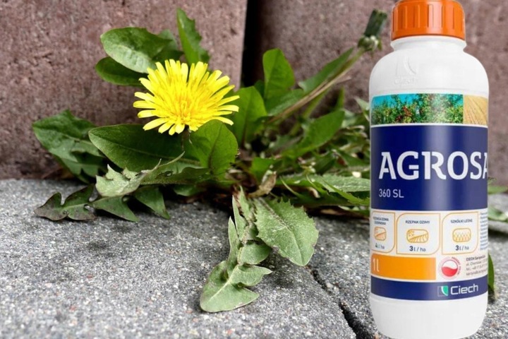Agrosar 360 SL 1L glifosat 360g/l, niszczy wszystkie chwasty, perz,