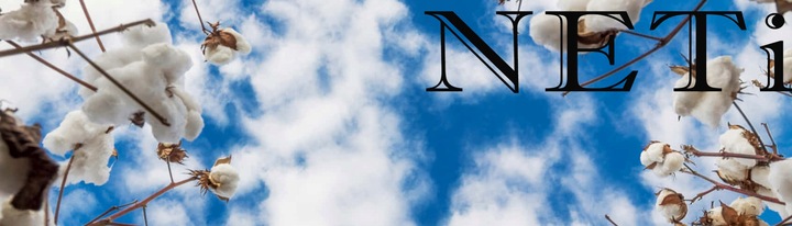 NETi Przewiewna i Delikatna Bawełniana Piżama Damska z Długim Rękawem Brown