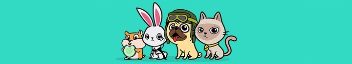 POJEMNIK NA KARMĘ ŻWIREK DLA PSA KOTA CURVER 6L