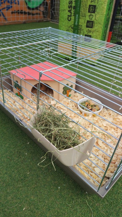 Bezpyłowe trociny ściółka ProBioBED Classic dla gryzoni, koni ODPYLONE 250l