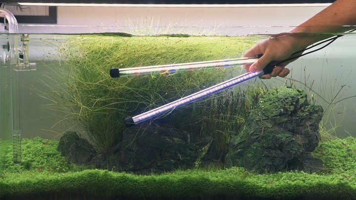 INVITAL AquaSpectrum LED 11,4W 48,5cm