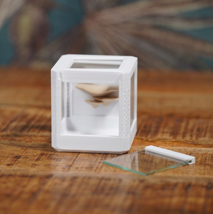 Terrarium szklane -6,5 x 6,5 x 6,5 dla pająka, modliszki, skakuna