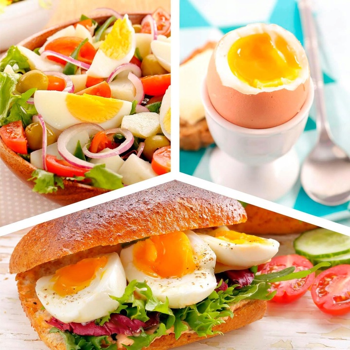 JAJOWAR AUTOMAT DO GOTOWANIA JAJEK OMLETU 6 JAJEK 200W ZESTAW Z MIARKĄ