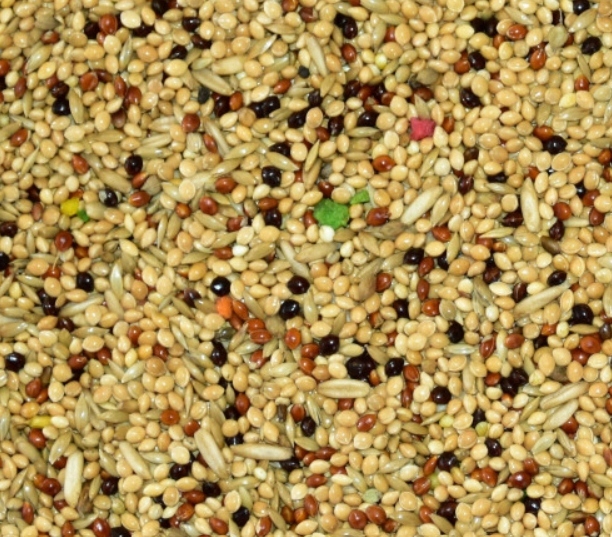 karma dla papug falistych "Australian Taste" MDM PF 1 x 10kg fa