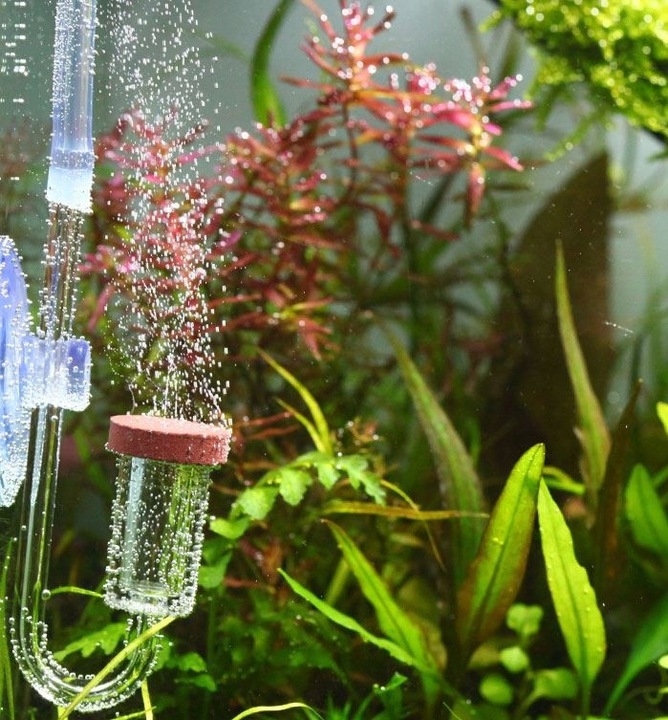 KOMPLETNY ZESTAW DO CO2 BIMBROWNIA NEO CO2 SYSTEM DO DWUTLENKU WĘGLA