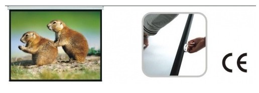 Duży EKRAN PROJEKCYJNY SUFITOWO ŚCIENNY 200X200cm 112" HDREADY