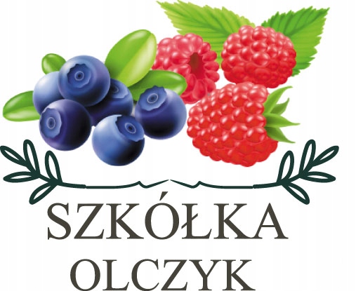 Szkółka Jagoda Kamczacka ZESTAW KANADYJSKICH odmian