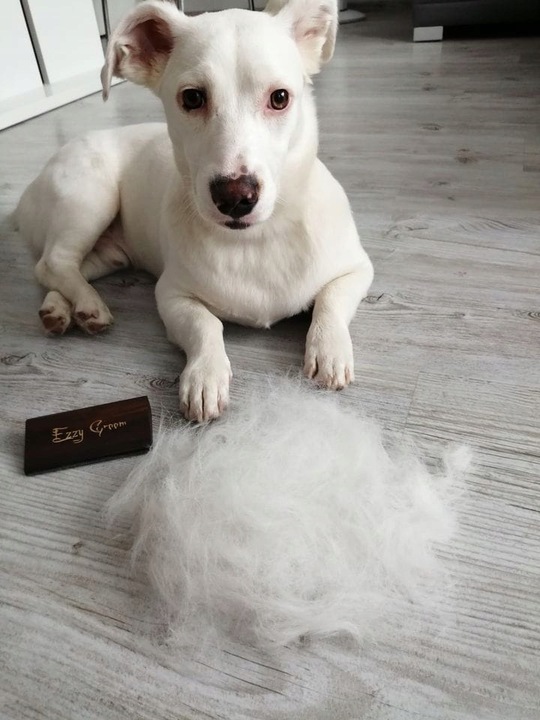 EzzyGroom sierść MIĘKKA / TWARDA dla psa kota UNIWERSALNE zgrzebło