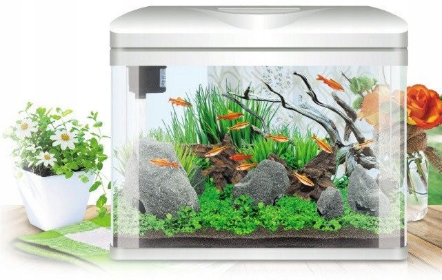 INVITAL EasyTank PRO LED 16 litrów z filtracją w pokrywie czarny