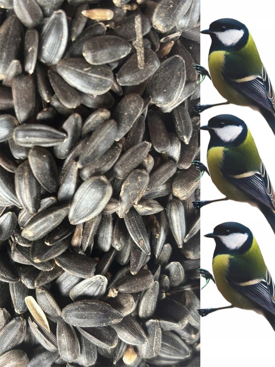 Słonecznik czarny 14 kg karma dla papug ziarno dla ptaków GRTIS kula tluszc