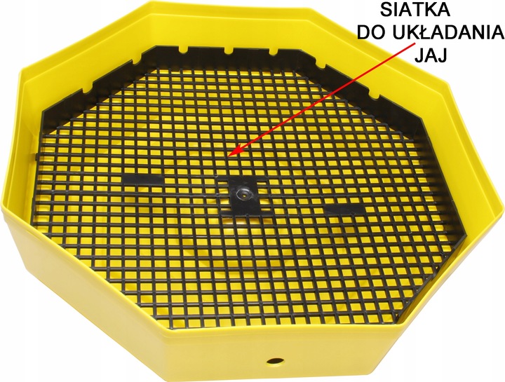 INKUBATOR 60 JAJ WYLĘGARKA KLUJNIK Cleo 5