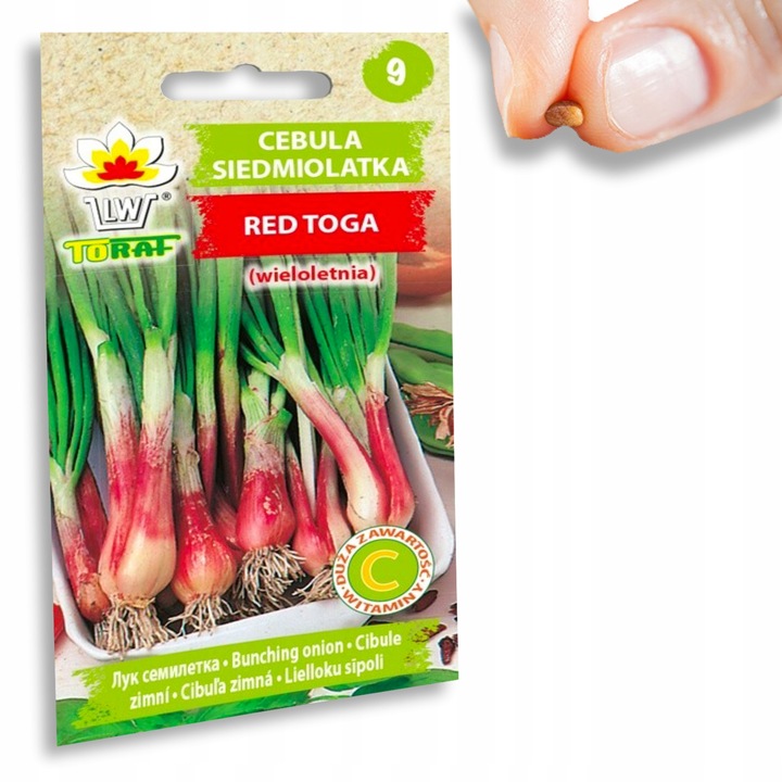 Nasiona warzyw marchew ogórek pietruszka burak NA DOBRY START UDANE PLONY