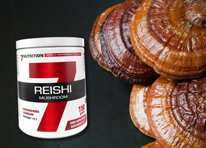 Lions mane soplówka jeżowata Chaga Cordyceps Reishi Grzyby mushroom proszek