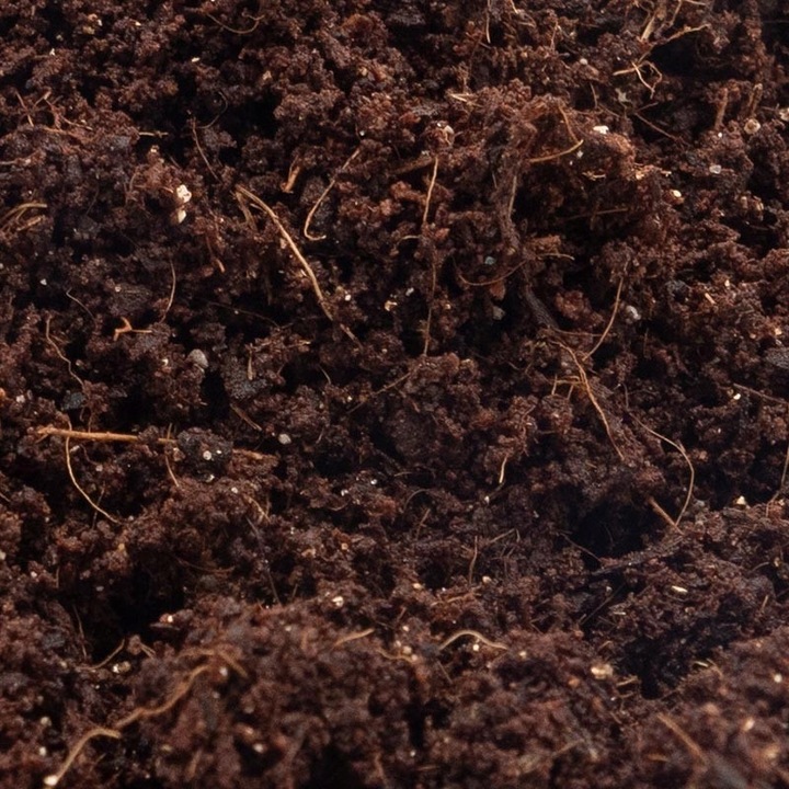 Podłoże dla ślimaków 3L EXOTIC HOBBY