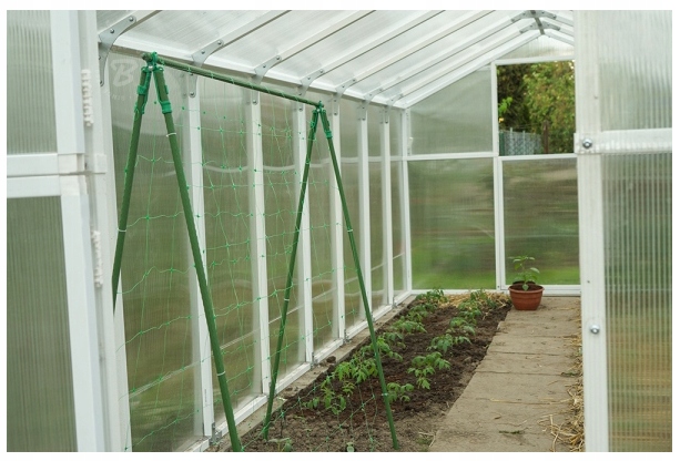 Podpora siatka do ogórków Pomidorów TYCZKA PALIK 7 Tyczek 150cm + Akcesoria