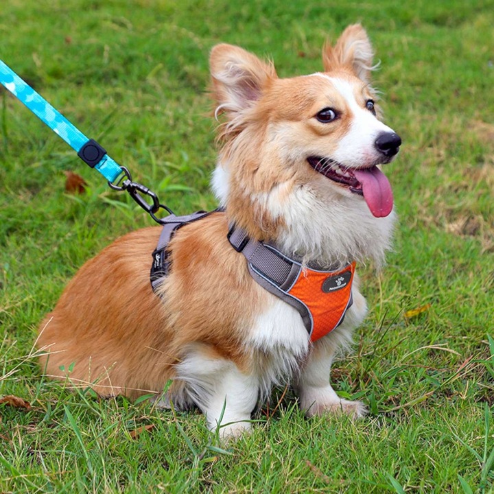 SZELKI DLA MAŁEGO PSA BEZUCISKOWE MOCNE GUARD M