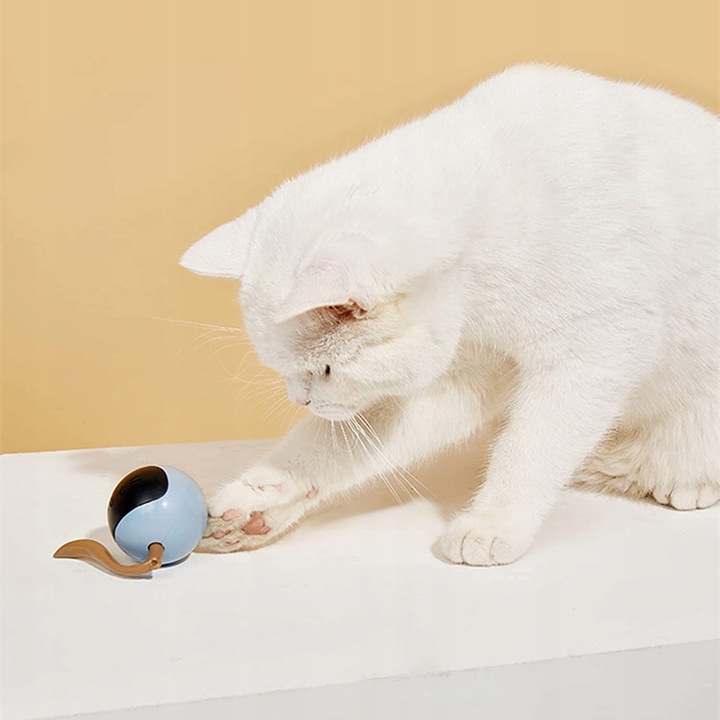 Interaktywna automatyczna piłka dla kota usb I214