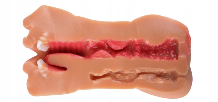 MASTURBATOR DLA MĘŻCZYZN 3W1 REALISTYCZNY Z TRZEMA STREFAMI STYMULACJI 19cm