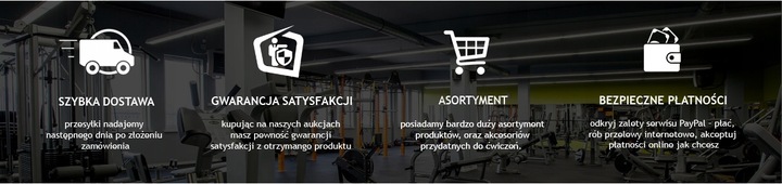 Wioślarz wodny ISE SY-2027