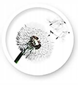 Materac do Łóżeczka Piankowy Kokos 120x60