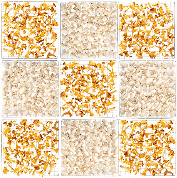 SUSZARKA SPOŻYWCZA DO GRZYBÓW OWOCÓW WARZYW ZIÓŁ TIMER LCD STALOWA 9