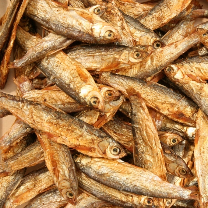 Glopex Stinte Suszona Stynka dla ryb żółwi 500g