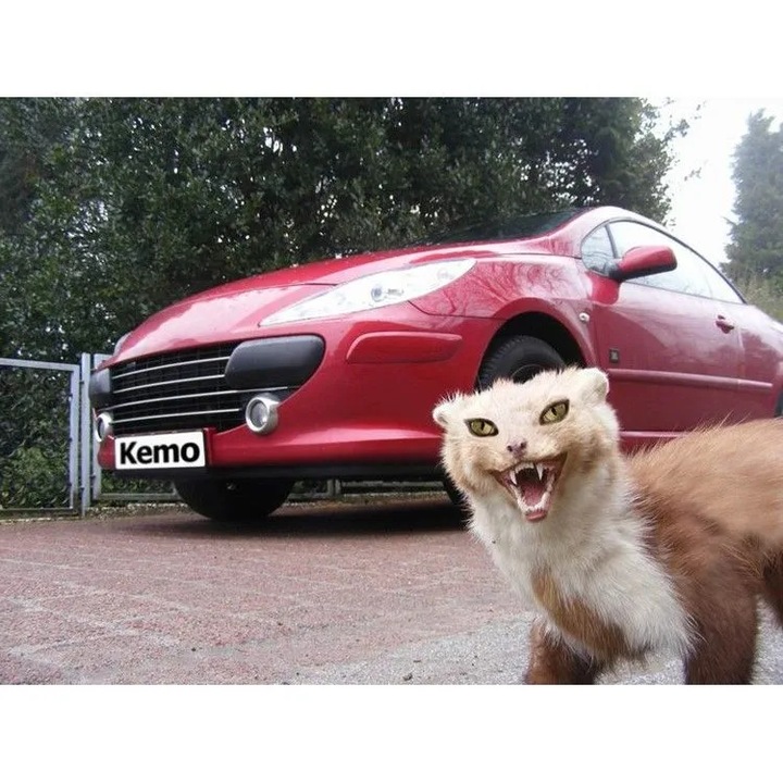 Odstraszacz kun i gryzoni od samochodu Kemo M100N