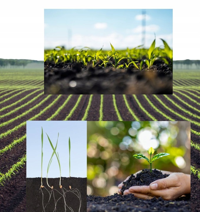 JESIENNY EKOLOGICZNY NAWÓZ UNIWERSALNY do ogrodów i sadów - 10kg