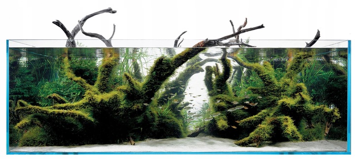 AQUA-PLANTER MINI zestaw CO2 z butlą 1,5kg/2,1l